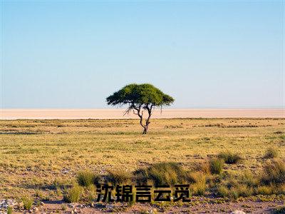 沈锦言云觅小说全文在线赏析 沈锦言云觅小说免费阅读全文大结局