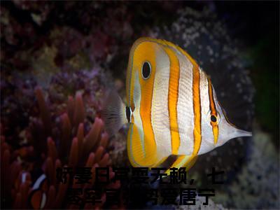 娇妻日常耍无赖，七零军官强势爱唐宁全文免费阅读（娇妻日常耍无赖，七零军官强势爱唐宁免费阅读无弹窗）娇妻日常耍无赖，七零军官强势爱唐宁精彩小说阅读_笔趣阁