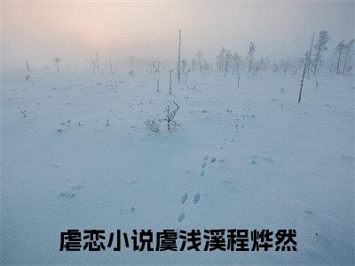 虞浅溪程烨然(虞浅溪程烨然)是什么小说-热门小说（虞浅溪程烨然）最新章节阅读