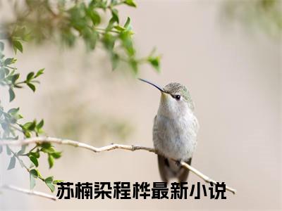 苏楠染程桦抖音最新热点小说，苏楠染程桦小说最新章节阅读