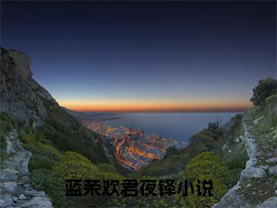（蓝茉欢君夜铎）是什么小说-蓝茉欢君夜铎全文免费阅读无弹窗大结局（蓝茉欢君夜铎）最新章节列表_笔趣阁