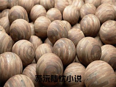 小说《夜侍娇：厂公的独宠要不起》全文免费阅读无弹窗-苏沅陆忱小说全文在线赏析_笔趣阁
