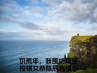 小说饥荒年，我囤货隔空投喂女帝陈辰全文阅读-（饥荒年，我囤货隔空投喂女帝陈辰）小说饥荒年，我囤货隔空投喂女帝陈辰大结局