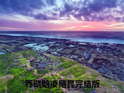 乔晓晗凌陌昆全文免费阅读无弹窗大结局-乔晓晗凌陌昆在线阅读