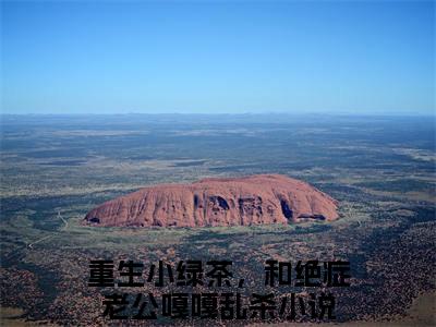 宋敬呈沈禾全文免费阅读（重生小绿茶，和绝症老公嘎嘎乱杀免费阅读无弹窗）宋敬呈沈禾最新章节列表_笔趣阁