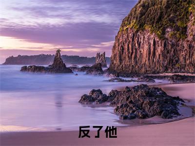 林兮羽听夜反了他小说（反了他）全文免费阅读无弹窗大结局_反了他小说最新章节列表_笔趣阁