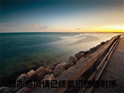 爱亦随风情已终姜初然傅时序全文完整版-姜初然傅时序小说在线阅读