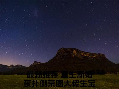 沈珍珍凤西诀小说好看吗沈珍珍凤西诀热门推荐小说（重生新婚夜扑倒京圈大佬生宝宝）全章节阅读_笔趣阁