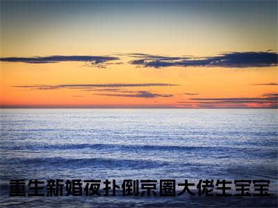 重生新婚夜扑倒京圈大佬生宝宝全文免费阅读全文免费阅读无弹窗大结局_沈珍珍凤西诀全文免费阅读