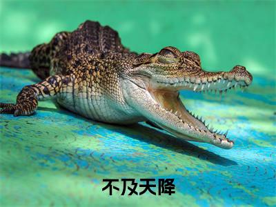夏冉傅珣全文免费阅读_夏冉傅珣（不及天降）最新章节列表笔趣阁