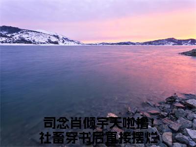 司念肖倾宇（天啦撸！社畜穿书后直接摆烂了！）多人推荐-天啦撸！社畜穿书后直接摆烂了！司念肖倾宇好看的小说完整版全文