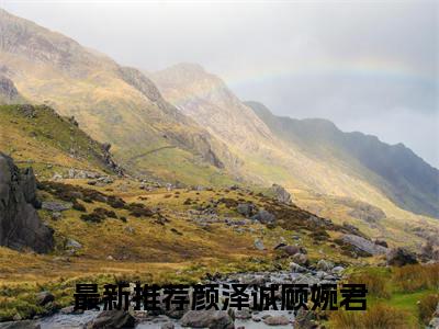 颜泽诚顾婉君（颜泽诚顾婉君）全文免费阅读无弹窗大结局_颜泽诚顾婉君最新章节列表_笔趣阁