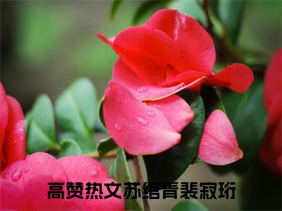 苏绾青裴寂珩全文免费阅读无弹窗大结局_ 苏绾青裴寂珩最新章节列表笔趣阁