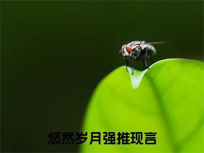 思悠英忠小说在线阅读-主角叫悠然岁月的小说（思悠英忠）完整版免费阅读全文