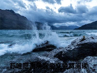 苏唯愿谢景庭(苏唯愿谢景庭全文免费阅读)_苏唯愿谢景庭小说最新章节免费阅读