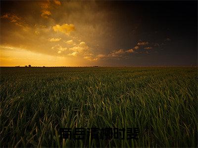 商岳清柳时斐小说美文赏析-商岳清柳时斐全文免费大结局
