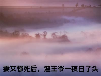 沈慕兮慕容景衍全文免费阅读无弹窗大结局_妻女惨死后，渣王爷一夜白了头无弹窗全文阅读