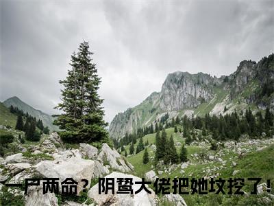 虞音霍厌离小说最新试读_一尸两命？阴鸷大佬把她坟挖了！小说名是（虞音霍厌离）_笔趣阁