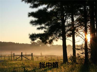 姜婉初徐澜之全本资源（帐中娇）全文免费阅读无弹窗大结局_帐中娇最新章节列表（姜婉初徐澜之）