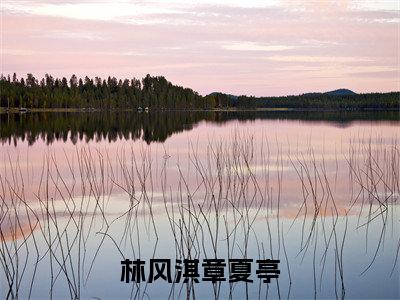 怀火志小说全文免费阅读_林风淇章夏亭（怀火志）最新章节列表笔趣阁