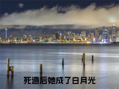 宋迦凝傅纪淮（死遁后她成了白月光）全文免费阅读无弹窗大结局_宋迦凝傅纪淮免费最新章节列表_笔趣阁