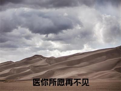 陆谦泽林屿笙在线阅读无弹窗_医你所愿再不见最新章节列表_笔趣阁
