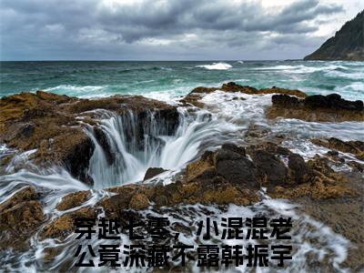 穿越七零，小混混老公竟深藏不露全文小说（韩振宇苏写秋）在线阅读无弹窗大结局_韩振宇苏写秋全文在线阅读无弹窗
