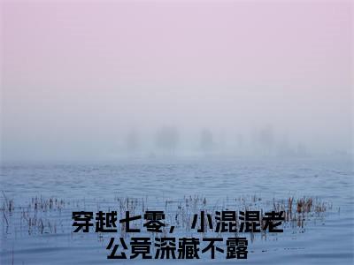 韩振宇苏写秋穿越七零，小混混老公竟深藏不露完整版最新小说大结局，韩振宇苏写秋免费完结版