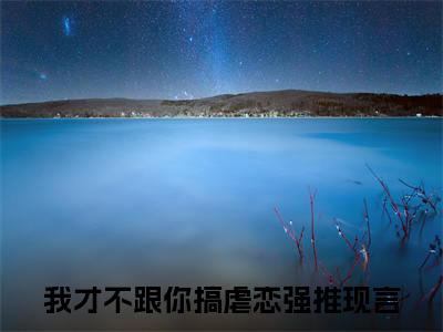 我才不跟你搞虐恋小说（陆箴言修聿）全文免费阅读无弹窗大结局_陆箴言修聿最新章节列表_笔趣阁（我才不跟你搞虐恋）