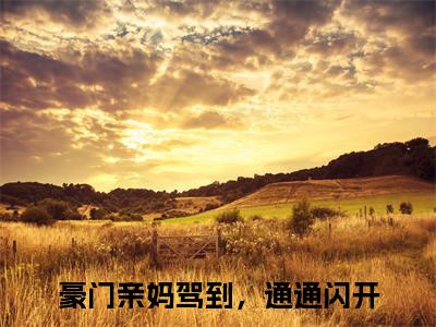 陆衍之盛樱免费小说全文免费阅读无弹窗大结局_豪门亲妈驾到，通通闪开完结版在线阅读