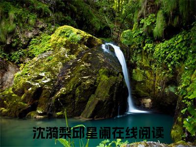 沈漪梨邱星阑（沈漪梨邱星阑)全文免费阅读无弹窗大结局_沈漪梨邱星阑全文完整无删减版免费阅读（沈漪梨邱星阑）