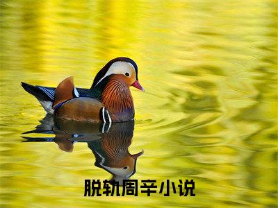 脱轨周辛(脱轨周辛）小说全文免费读无弹窗大结局_脱轨周辛小说章节试读最新章节列表笔趣阁