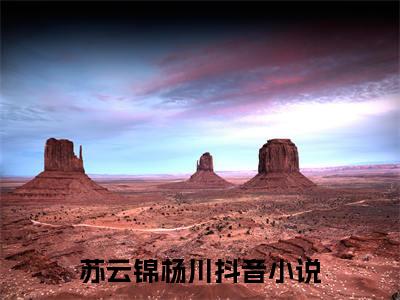新上热文糙汉子的貌美小夫郎在线阅读-苏云锦杨川叫苏云锦杨川的小说全文完整版免费阅读