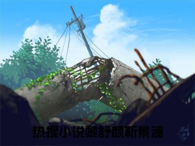 黎舒颜靳景澜首发小说-黎舒颜靳景澜(黎舒颜靳景澜)无删减版全文在线