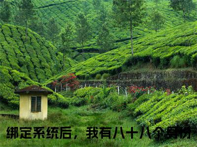 路悠小说在线阅读（绑定系统后，我有八十八个身份）全文免费阅读大结局_路悠最新章节列表笔趣阁