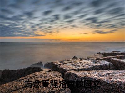 方念夏程洛京热门小说在线阅读 方念夏程洛京全网推荐（方念夏程洛京）全文