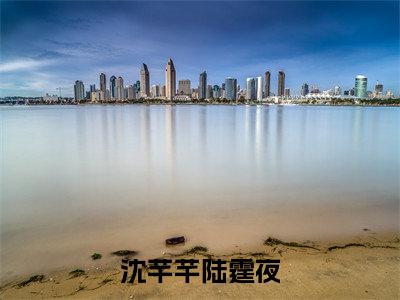 热文（沈芊芊陆霆夜）美文阅读_热门小说主人公是（沈芊芊陆霆夜）最新章节限时观看_笔趣阁