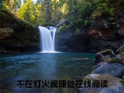 顾宁辰孟卓钰全文全章节免费阅读-不在灯火阑珊处全文免费阅读无弹窗大结局