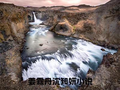 姜霖舟沈知妍全文免费阅读无弹窗，姜霖舟沈知妍小说最新章节列表无删减_笔趣阁