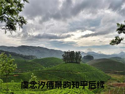 虞念汐傅景昀小说（虞念汐傅景昀）全文免费阅读无弹窗大结局_虞念汐傅景昀最新章节列表_