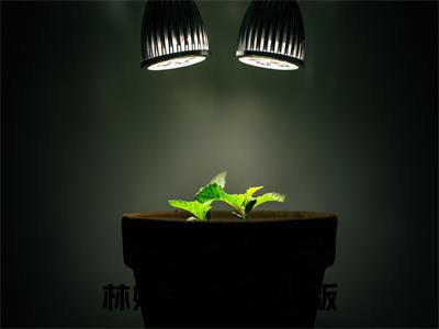 林媛江辰风（千金袭来）全文免费阅读无弹窗大结局_千金袭来最新章节列表_笔趣阁