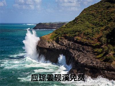 应琮姜砚溪小说（应琮姜砚溪）全文免费阅读无弹窗大结局_应琮姜砚溪小说最新章节列表