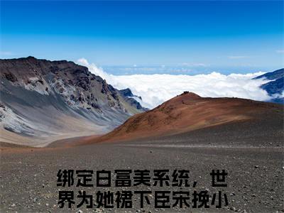 绑定白富美系统，世界为她裙下臣宋挽言情小说免费观看-小说(绑定白富美系统，世界为她裙下臣宋挽)最新章节阅读