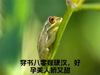 陈禹沈蓉蓉小说免费（穿书八零嫁硬汉，好孕美人娇又甜）全文免费阅读无弹窗-穿书八零嫁硬汉，好孕美人娇又甜小说全文免费阅读最新章节列表