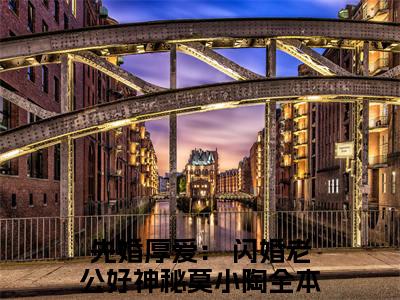 先婚厚爱： 闪婚老公好神秘莫小陶（先婚厚爱： 闪婚老公好神秘莫小陶）最新章节在线阅读-小说先婚厚爱： 闪婚老公好神秘莫小陶完整版阅读