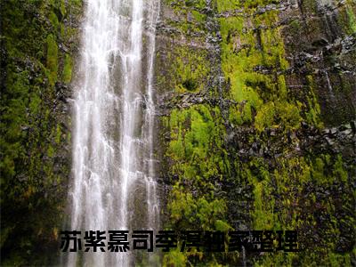 苏紫慕司季溟在哪免费看 苏紫慕司季溟结局是什么（苏紫慕司季溟）小说无弹窗免费阅读