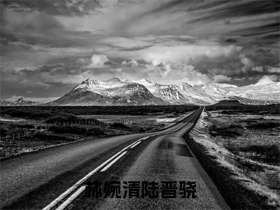 林婉清陆晋骁（林婉清陆晋骁）全文免费阅读无弹窗大结局_林婉清陆晋骁最新章节列表_笔趣阁（林婉清陆晋骁）