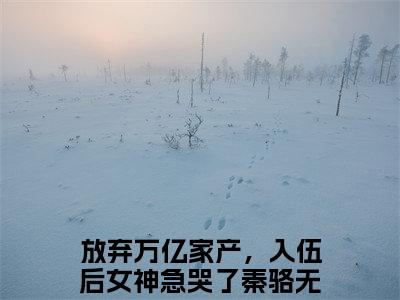 小说（放弃万亿家产，入伍后女神急哭了秦骆）_放弃万亿家产，入伍后女神急哭了秦骆全文阅读_放弃万亿家产，入伍后女神急哭了秦骆免费阅读大结局