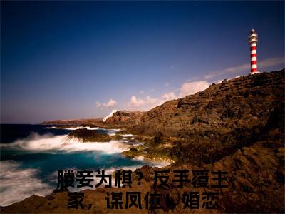 小说（东方靖华颂宜）在线赏析_媵妾为棋？反手覆主家，谋凤位！txt小说在线阅读笔趣阁