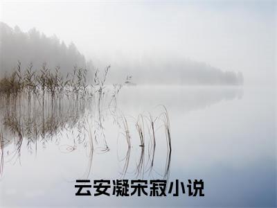 (云安凝宋寂)小说免费阅读无弹窗_（云安凝宋寂免费阅读）云安凝宋寂小说最新章节列表_笔趣阁（云安凝宋寂下载）